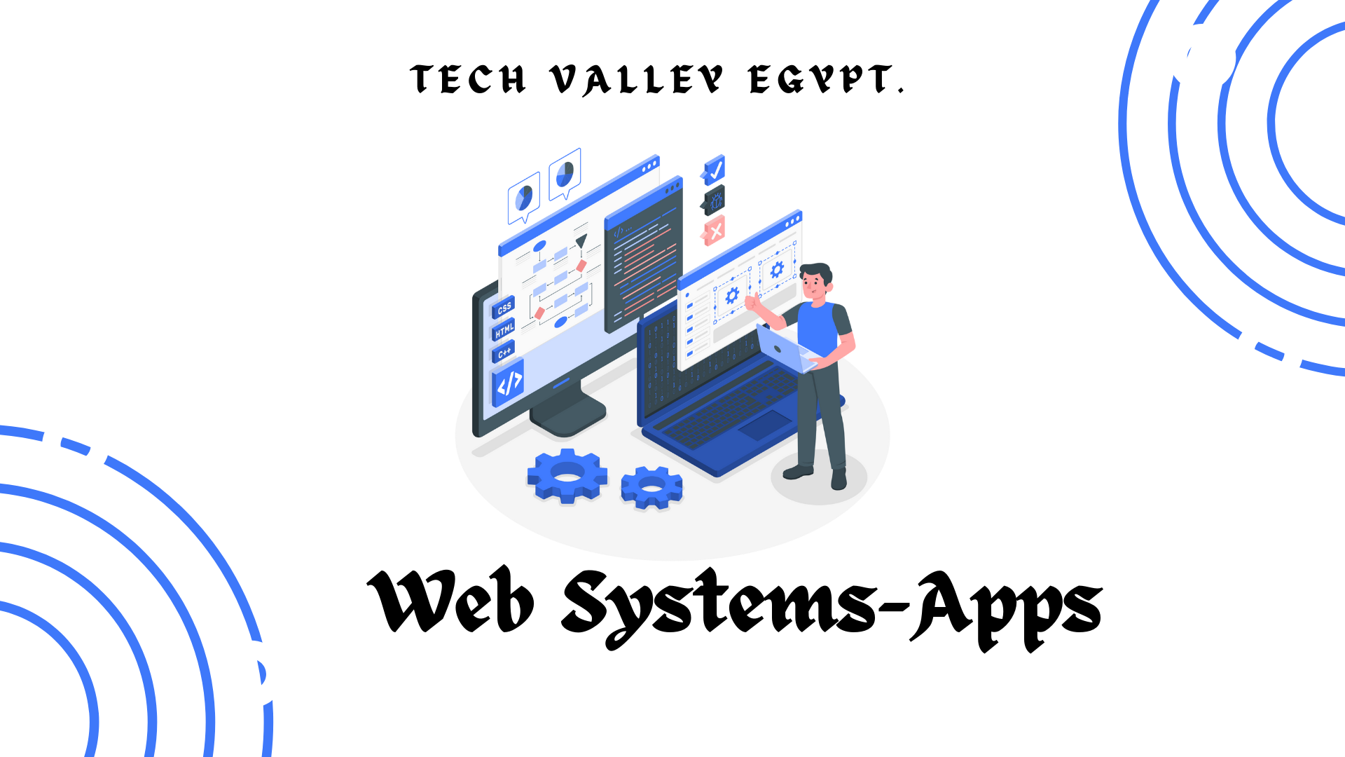 tech valley egypt website systems