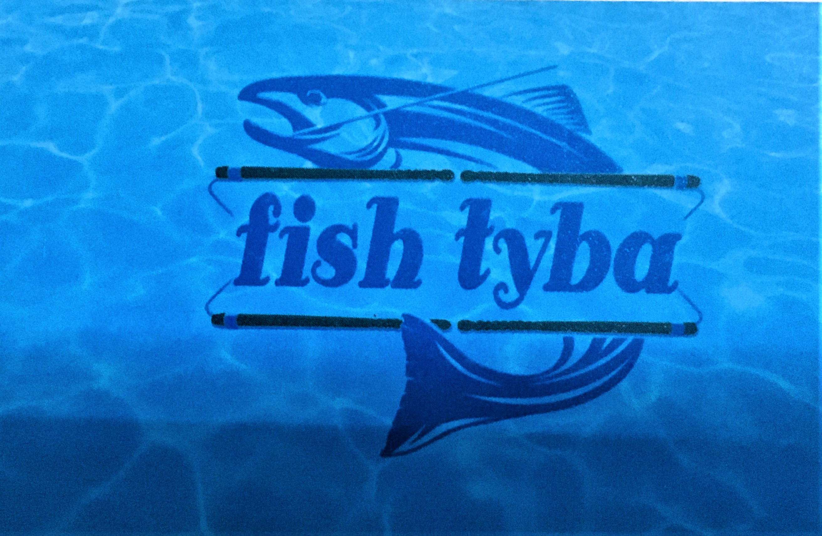tybafish logo Tech Valley Egypt Client 